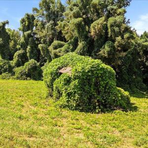 01-finished Martin Rd (17 of 18)