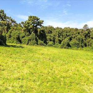 04-finished Martin Rd (16 of 18)