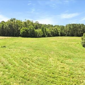 10-finished Martin Rd (10 of 18)