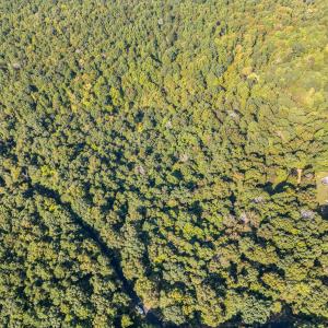 007_dji_0264-edit_47