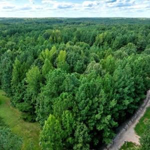 5-DJI_20250826160844_0580_D