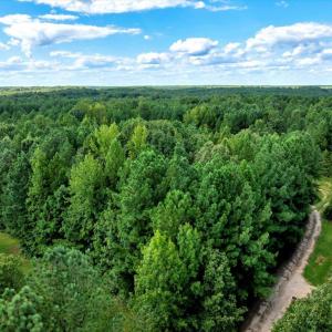 6-DJI_20250826160939_0586_D