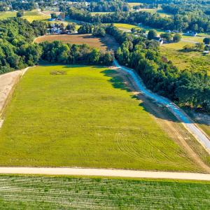 12-Mockingbird Ln-12