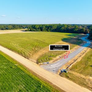 19-Mockingbird Ln-19