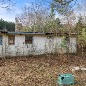 11-web-or-mls-DJI_20250304083938_0031_D