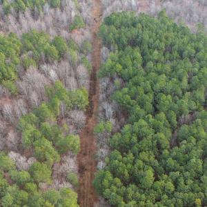 14-web-or-mls-DJI_20250304084210_0040_D