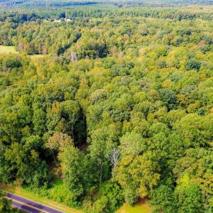 2-web-or-mls-1455 Dimmocks Mill (1 of 7)