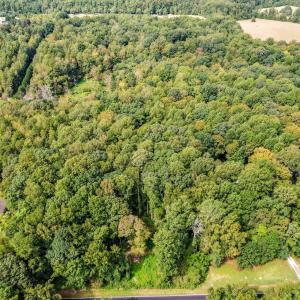 4-web-or-mls-1455 Dimmocks Mill (2 of 7)