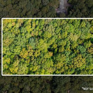 7-web-or-mls-1455 Dimmocks Mill (4 of 7)