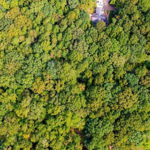 8-web-or-mls-1455 Dimmocks Mill (4 of 7)