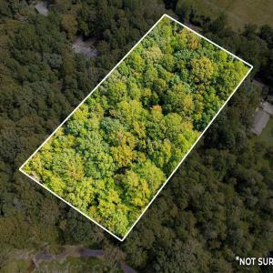 9-web-or-mls-1455 Dimmocks Mill (5 of 7)