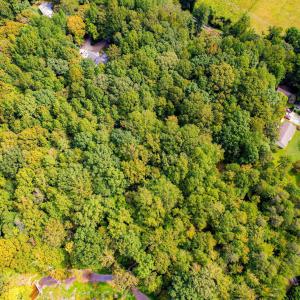 10-web-or-mls-1455 Dimmocks Mill (5 of 7