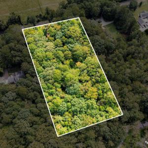 14-web-or-mls-1455 Dimmocks Mill (7 of 7