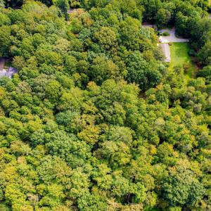 12-web-or-mls-1455 Dimmocks Mill (6 of 7