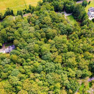 13-web-or-mls-1455 Dimmocks Mill (7 of 7