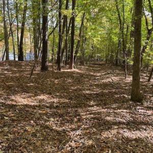 234 Hillcrest Lane Photo 1