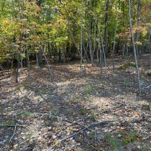 234 Hillcrest Lane Photo 2