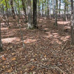 234 Hillcrest Lane Photo 3