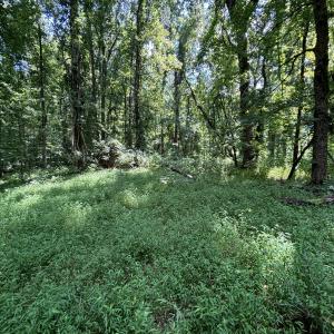 old homesite