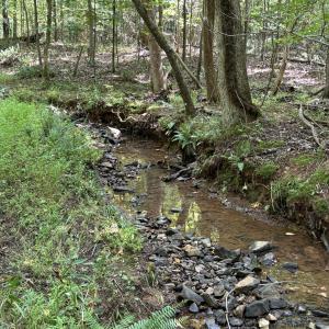 stream