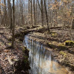 stream winter