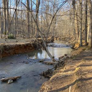 Buckwater Crk - winter