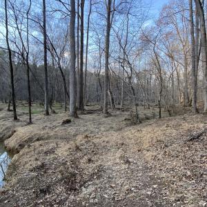 Buckwater Crk banks winter