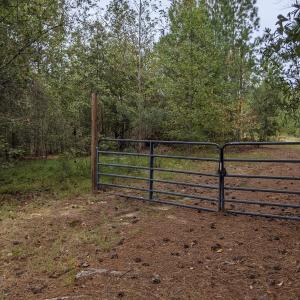 PXL_20251010_170703530