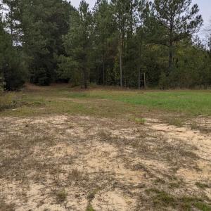 PXL_20251010_170519791