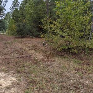 PXL_20251010_170556377