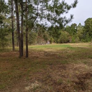 PXL_20251010_170417604