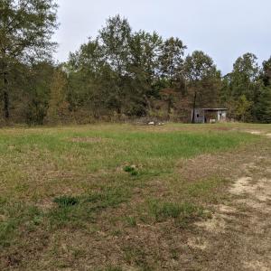 PXL_20251010_170449962