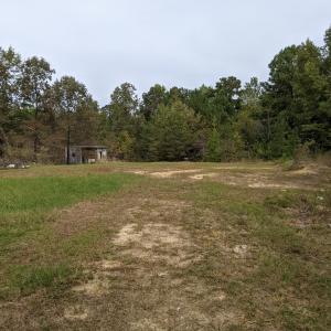 PXL_20251010_170452488