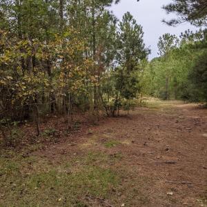 PXL_20251010_170347972