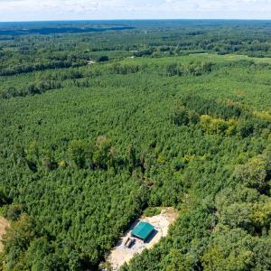 1-print-Walter-Grissom-Lot-1