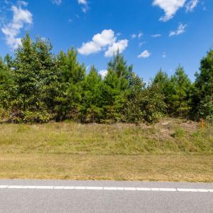 30-print-Walter-Grissom-Lot-30