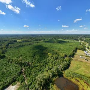 4-print-Walter-Grissom-Lot-4