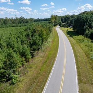 29-print-Walter-Grissom-Lot-29