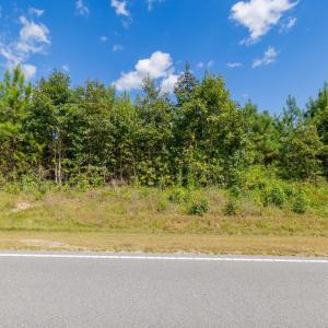 32-print-Walter-Grissom-Lot-32