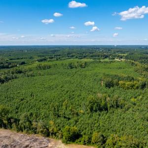 17-print-Walter-Grissom-Lot-17