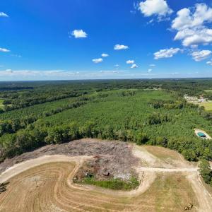 19-print-Walter-Grissom-Lot-19