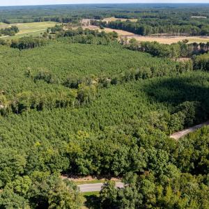 25-print-Walter-Grissom-Lot-25