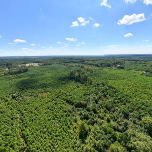 5-print-Walter-Grissom-Lot-5