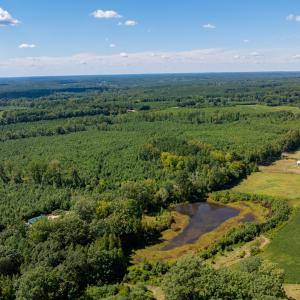 15-print-Walter-Grissom-Lot-15