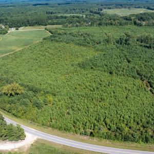 22-print-Walter-Grissom-Lot-22