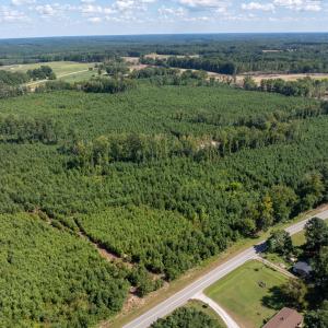 23-print-Walter-Grissom-Lot-23