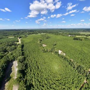 27-print-Walter-Grissom-Lot-27