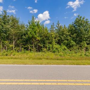 34-print-Walter-Grissom-Lot-34