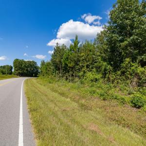 33-print-Walter-Grissom-Lot-33