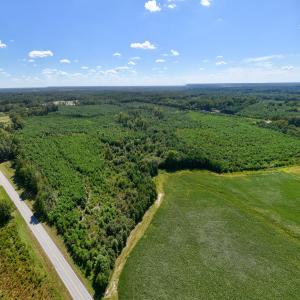 6-print-Walter-Grissom-Lot-6